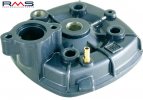 Cylinder head RMS 100070021