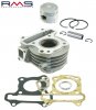 Cylinder kit RMS 100080540 4T 47mm