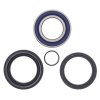 Wheel bearing and seal kit All Balls Racing WB25-1004