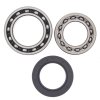 Wheel bearing and seal kit All Balls Racing WB25-1010