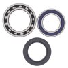 Wheel bearing and seal kit All Balls Racing WB25-1011