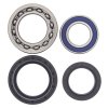Wheel bearing and seal kit All Balls Racing WB25-1012