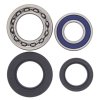 Wheel bearing and seal kit All Balls Racing WB25-1014