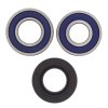 Wheel bearing and seal kit All Balls Racing WB25-1088