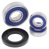 Wheel bearing and seal kit All Balls Racing WB25-1096