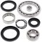 Differential bearing and seal kit All Balls Racing