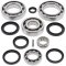 Differential bearing and seal kit All Balls Racing