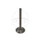 Exhaust valve JMT